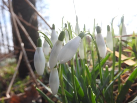Lekcje zachwytu. Dlaczego piękno świata jest pierwszą szkołą filozofii