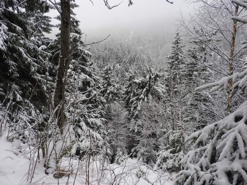 📖 Książki jak zaklęcia – Niszowe, mroczne i dziwne lektury na zimowe wieczory (weird fiction, metafizyczny niepokój)