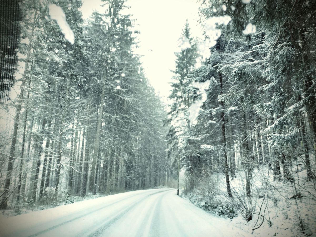 ❄️ Magia śniegu i zimowe rytuały oczyszczenia – energia zimy, regeneracja i magiczne książki